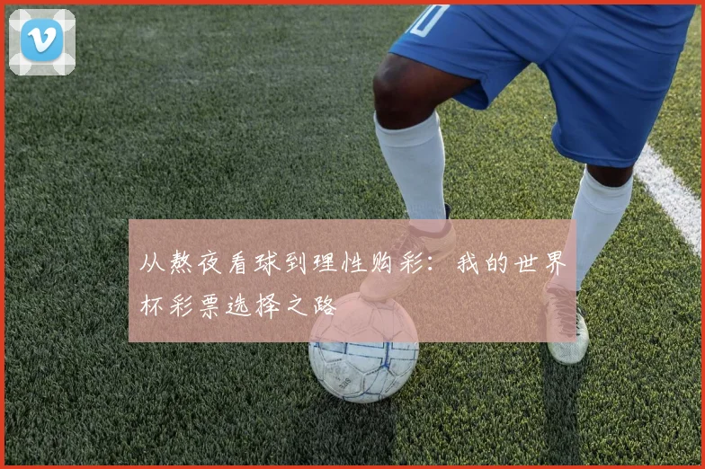 从熬夜看球到理性购彩：我的世界杯彩票选择之路